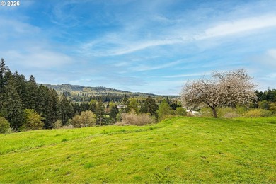 Enjoy sweeping Lewis River and valley views from this serene 2 - photo 31