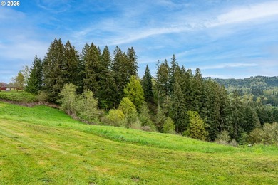 Enjoy sweeping Lewis River and valley views from this serene 2 - photo 37