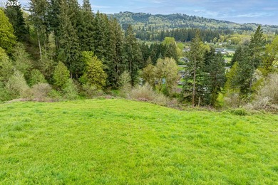 Enjoy sweeping Lewis River and valley views from this serene 2 - photo 38