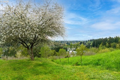 Enjoy sweeping Lewis River and valley views from this serene 2 - photo 39