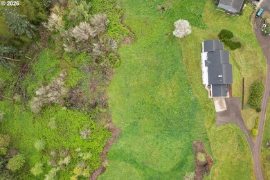 Enjoy sweeping Lewis River and valley views from this serene 2 - photo 44