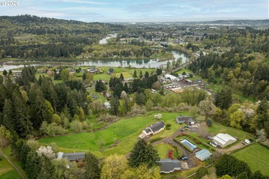 Enjoy sweeping Lewis River and valley views from this serene 2 - photo 46