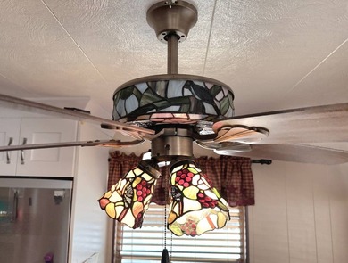 Beautiful superbly decorated doublewide manufactured home - photo 11