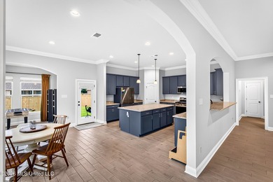 Welcome to 14248 Cygnet Cv in Gulfport, MS, a beautiful newer - photo 16