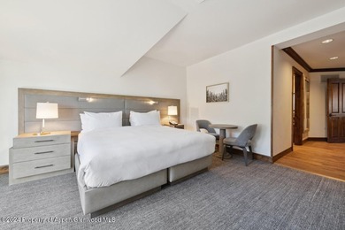Unit 45 is a large penthouse luxury condo with views to Aspen - photo 20