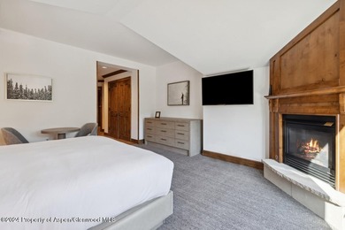 Unit 45 is a large penthouse luxury condo with views to Aspen - photo 21