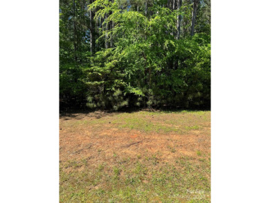 Lake Acreage Sale Pending in Troutman, North Carolina