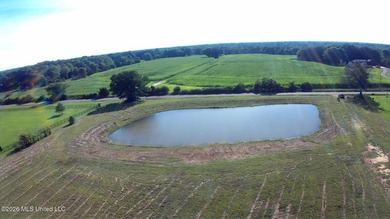 Mostly level lot with wooded area, nice pond, driveway and house - photo 1