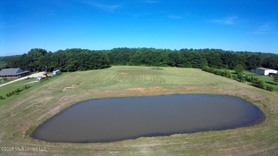 Mostly level lot with wooded area, nice pond, driveway and house - photo 2
