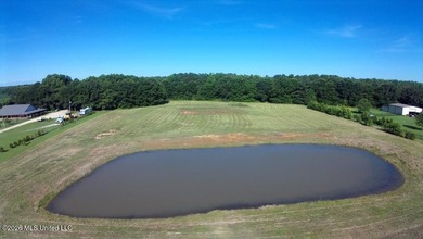 Mostly level lot with wooded area, nice pond, driveway and house - photo 4