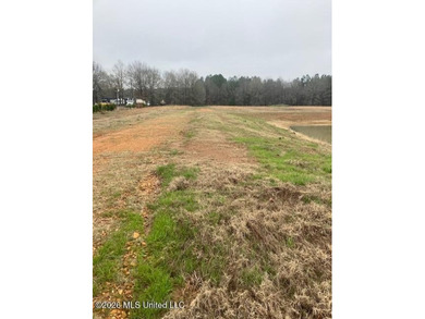 Mostly level lot with wooded area, nice pond, driveway and house - photo 8