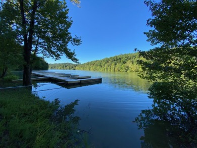 Waterfront Lot. Views & Dock. Over 600' Water Frontage. - photo 7