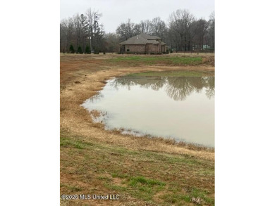 Mostly level lot with wooded area, nice pond, driveway and house - photo 10