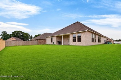 Welcome to 14248 Cygnet Cv in Gulfport, MS, a beautiful newer - photo 44