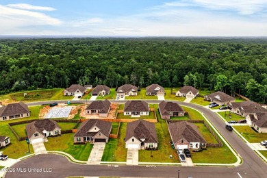 Welcome to 14248 Cygnet Cv in Gulfport, MS, a beautiful newer - photo 47