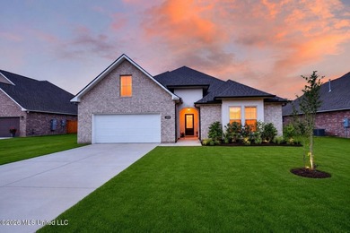 Welcome to 14248 Cygnet Cv in Gulfport, MS, a beautiful newer - photo 48