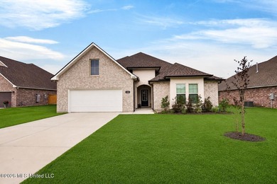 Welcome to 14248 Cygnet Cv in Gulfport, MS, a beautiful newer - photo 49