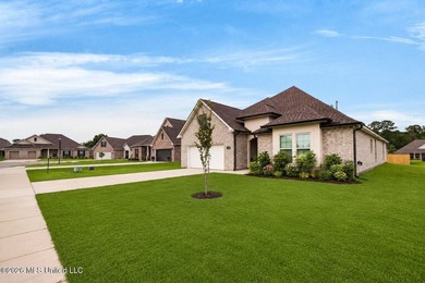 Welcome to 14248 Cygnet Cv in Gulfport, MS, a beautiful newer - photo 50