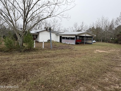 (private lake, pond, coastal) Home Sale Pending in Lucedale Mississippi