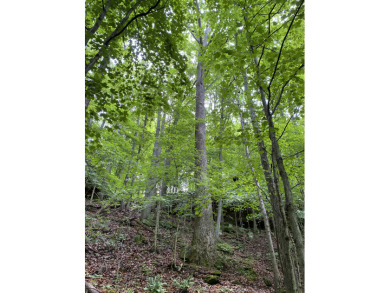 Waterfront Lot. Views & Dock. Over 600' Water Frontage. - photo 11