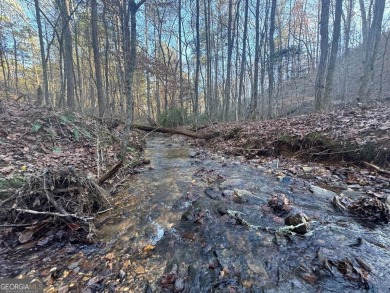 Lake Acreage For Sale in Talking Rock, Georgia