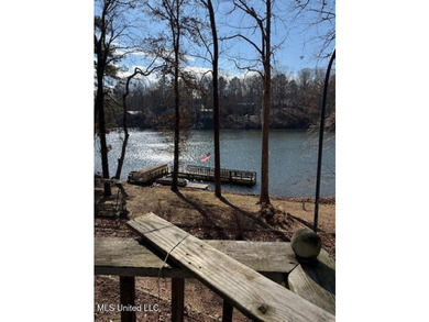 Well maintained home on the lake with pier and boat slip. Home - photo 8
