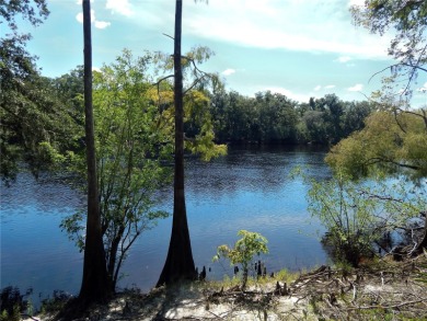 Lake Acreage For Sale in Old Town, Florida