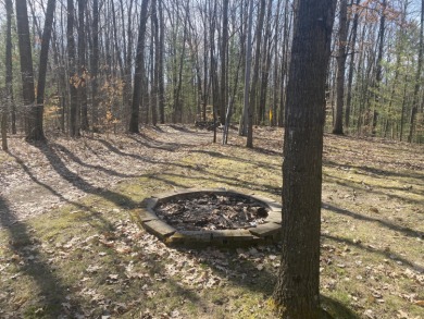 School Section Lake - Mecosta County Lot For Sale in Mecosta Michigan