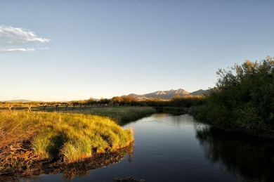 (private lake, pond, creek) Acreage For Sale in May Idaho