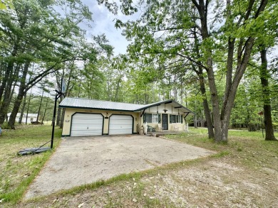Lake Home For Sale in Lewiston, Michigan