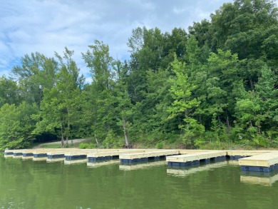 Waterfront Lot. Views & Dock. Over 600' Water Frontage. - photo 2