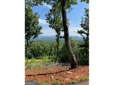 Lake Acreage For Sale in Blairsville, Georgia