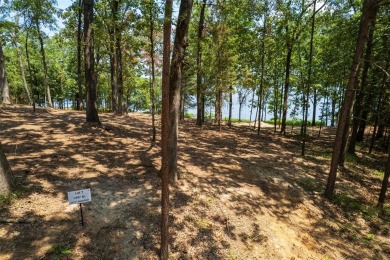 Lake Lot For Sale in Leesburg, Texas