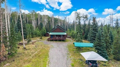 (private lake, pond, creek) Home For Sale in Montrose Colorado