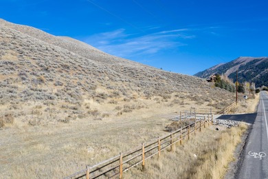 Big Wood River Acreage For Sale in Blaine County Idaho