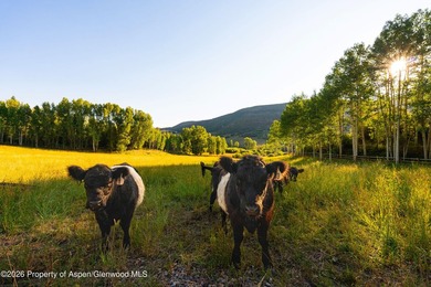 Lincoln Ranch, a breathtaking 544-acre estate in the Snowmass - photo 12