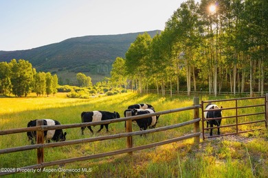 Lincoln Ranch, a breathtaking 544-acre estate in the Snowmass - photo 13