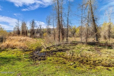 A once-in-a-generation opportunity to own 13 pristine acres - photo 13