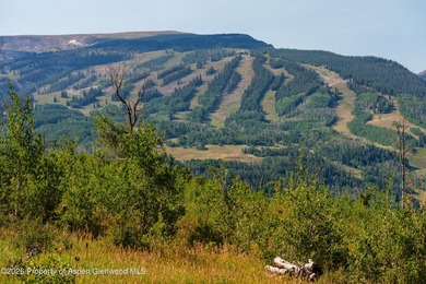 Lincoln Ranch, a breathtaking 544-acre estate in the Snowmass - photo 16