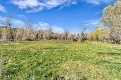 A once-in-a-generation opportunity to own 13 pristine acres - photo 21