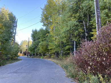 Big Wood River Lot Sale Pending in Ketchum Idaho