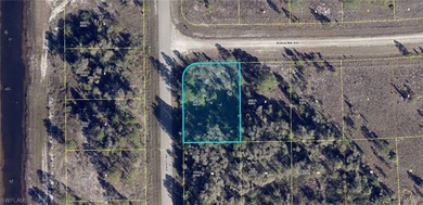 Lehigh Acres Area Lot For Sale in Lehigh Acres Florida