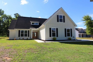 Beautiful new custom home located in a desirable Lake Murray - photo 2