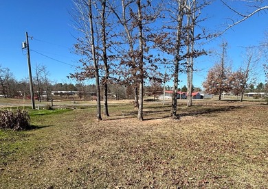 Spacious 4BR/2BA home situated on a 0.69-acre lot offering - photo 6