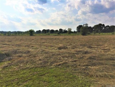 Mound Lake Lot For Sale in England Arkansas