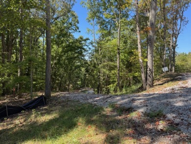 Waterfront Lot. Views & Dock. Over 600' Water Frontage. - photo 14