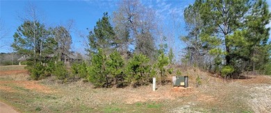 Lake Lot For Sale in Toccoa, Georgia