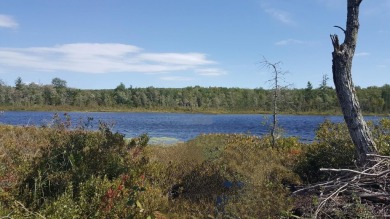 Lake Acreage For Sale in Jay, Maine