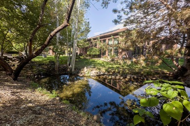 Snake River - Twin Falls County Home For Sale in Buhl Idaho