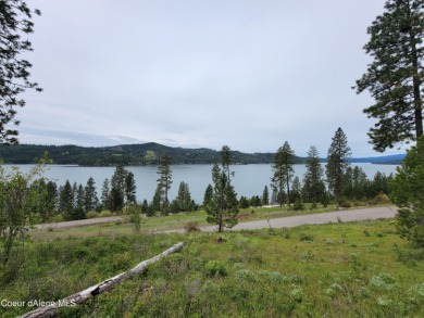 Chatcolet Lake Lot For Sale in Harrison Idaho
